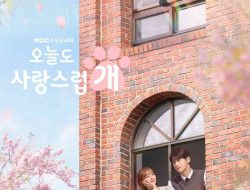 Download Drama Korea A Good Day to Be a Dog Episode 8 Subtitle Indonesia